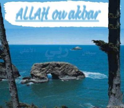 tous c qu il existe dans ce petit ununivers fait la prieir anotre dieu soubhanah